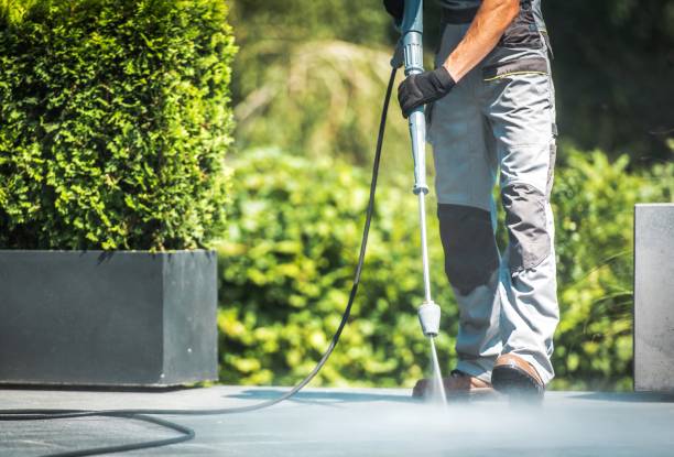 Best Patio and Deck Pressure Washing  in Helemano, HI